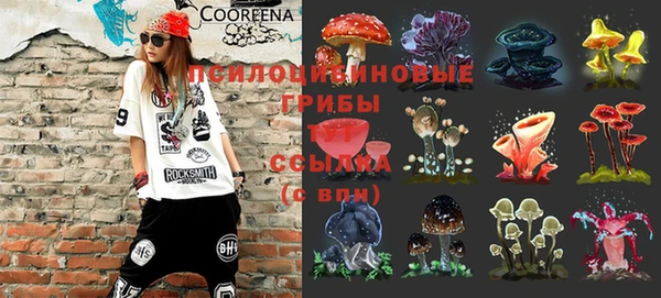 гидропоника Бронницы