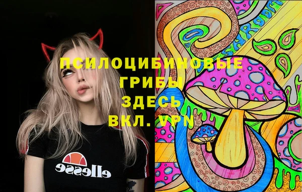 бутират Бородино