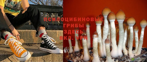 гидропоника Бронницы